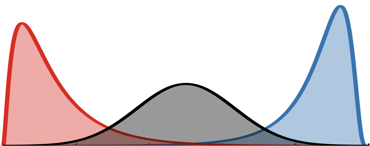 Path 1 illustration
